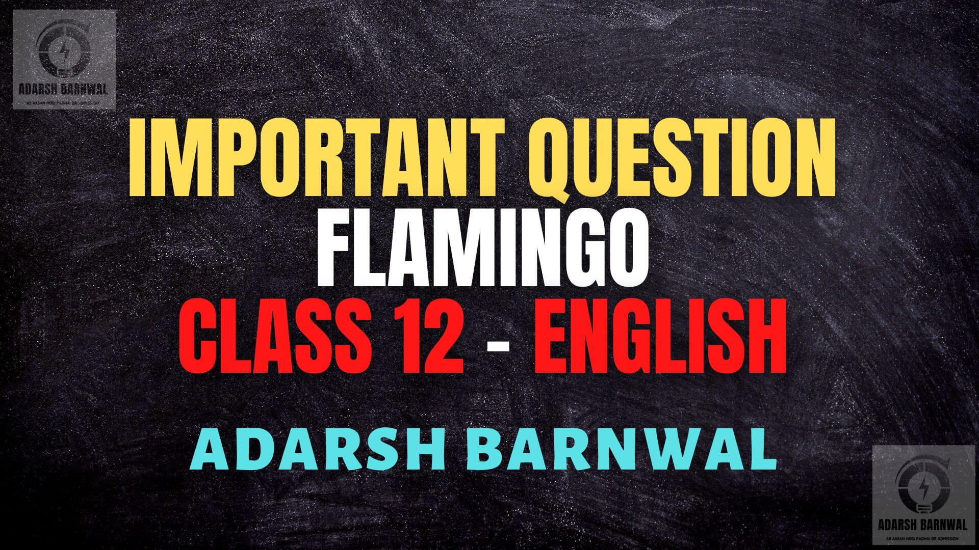 Flamingo Class 12 English Important questions Pdf by Adarsh Barnwal